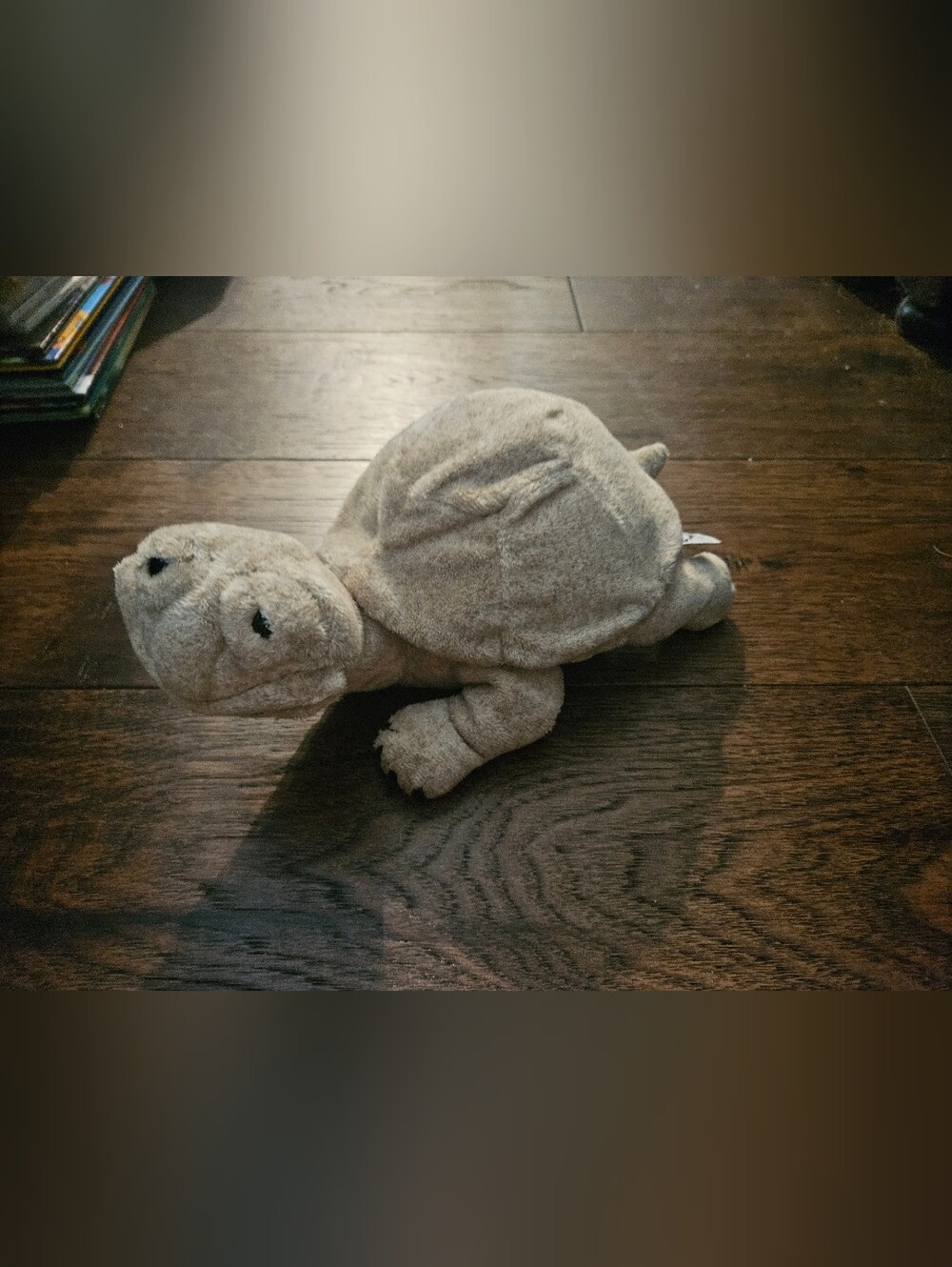 Cuddly Quarry Critters Happy Turtle Tortoise plush 2003 Used Condition Toy. 